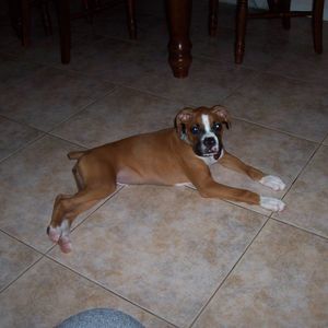 Meet your Posher, Norma